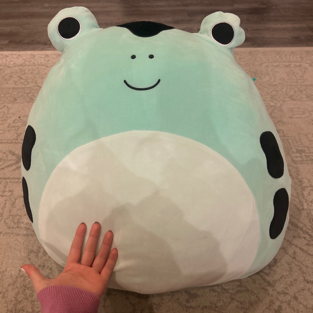 20-inch dart frog, “Dear” squishmallow